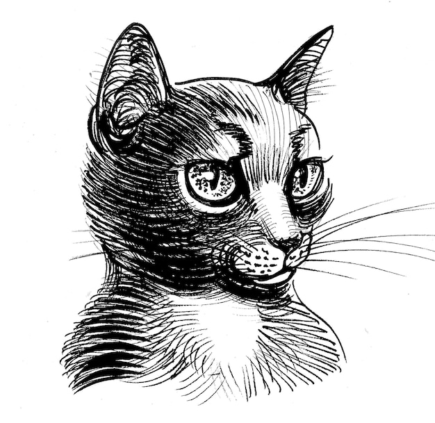 Foto schöne katzenkopf-retro-illustration mit schwarz-weißer tinte