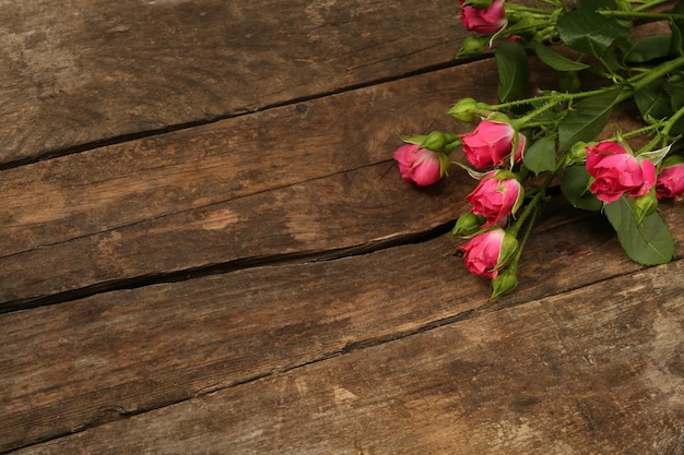 Schöne kleine Rosen auf Holzuntergrund