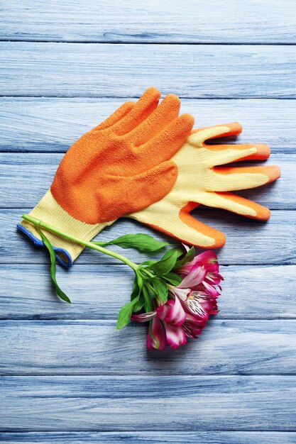 Foto schöne komposition aus blumen- und gartenhandschuhen auf blauem holzhintergrund