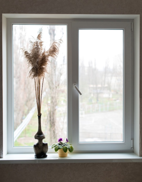 schöne Komposition einer Blume und Schilf in einer Vase, die auf einem Fenster in einer Wohnung steht