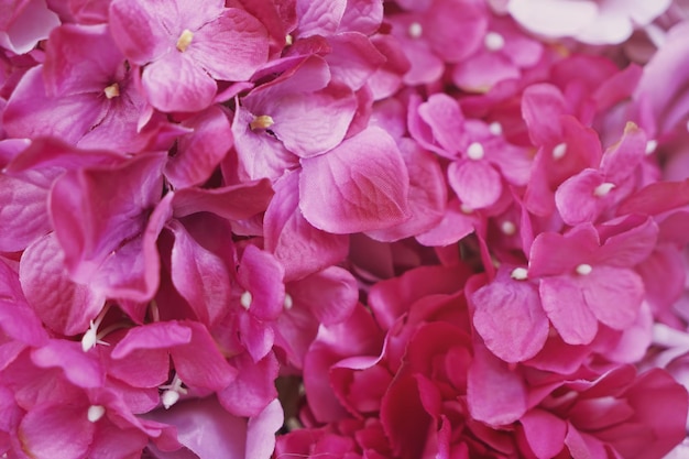 Schöne künstliche Blumen in der Shop-Nahaufnahme