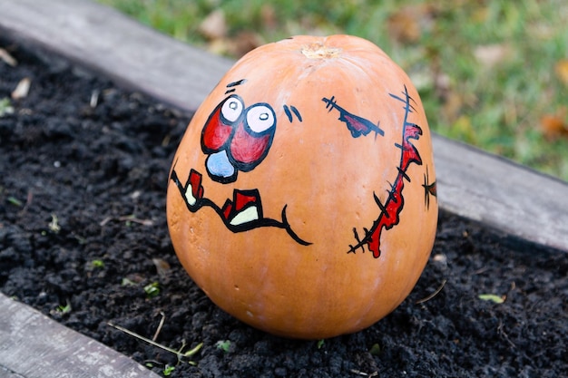 Foto schöne kürbisse für halloween