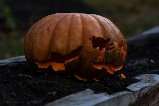 Schöne Kürbisse für Halloween