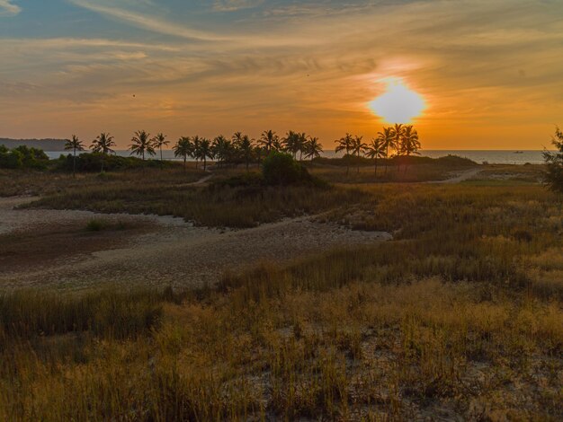 Schöne Küste in Goa Indien