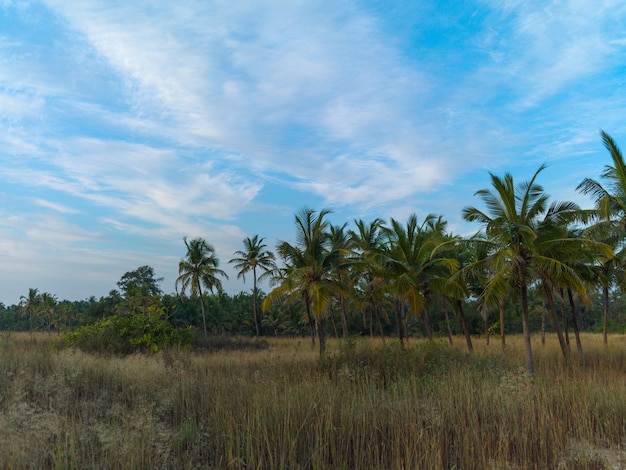 Schöne Küste in Goa Indien