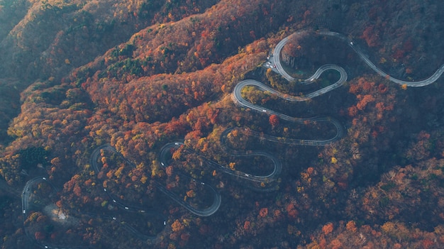 Schöne kurvige Straße auf dem Nikko-Berg, Japan. Luftaufnahme