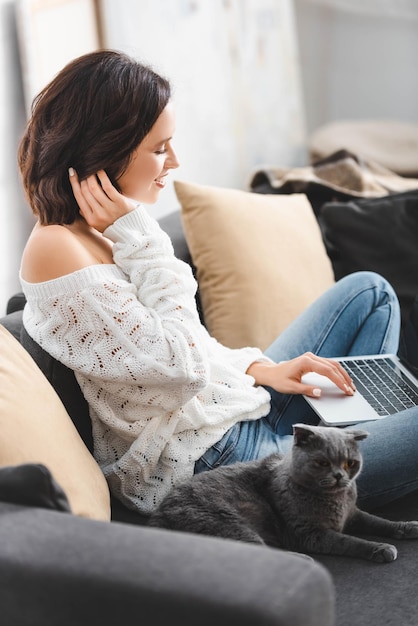 schöne lächelnde Frau mit Laptop mit schottischer Katze auf dem Sofa