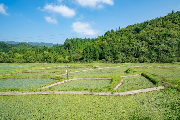 Schöne ländliche Landschaft in China