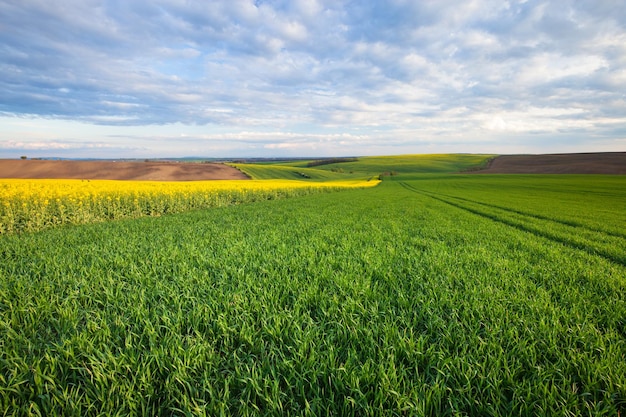 Schöne ländliche Landschaft