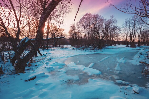 Schöne ländliche Winterlandschaft, gefrorener Bach