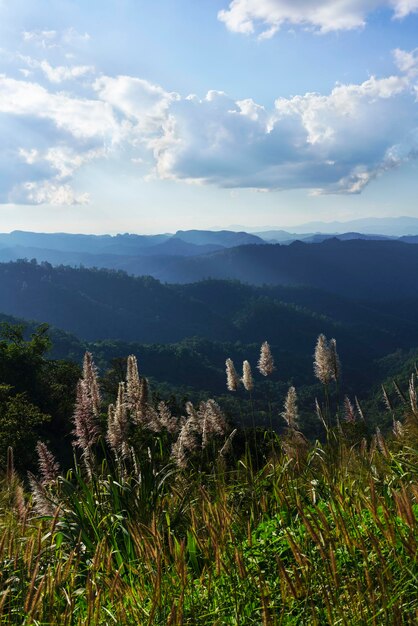 Schöne Landschaft am Aussichtspunkt Kiew Lom in der Provinz Mae Hong Son, Thailand