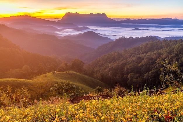 Schöne Landschaft am Morgen bei Doi Luang Chiang Dao Chiang Mai Thailand