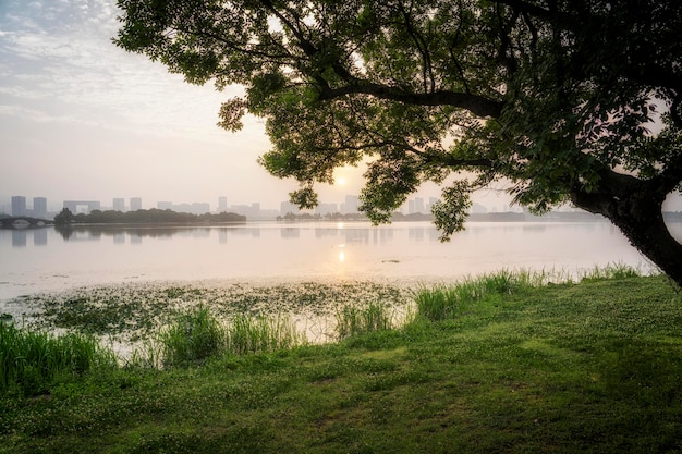 Schöne Landschaft am See am Morgen