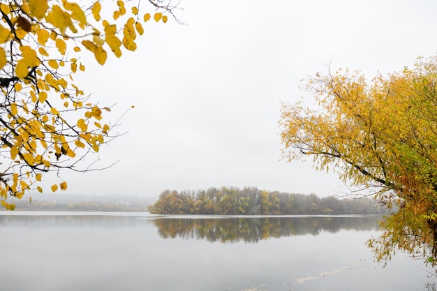 Schöne Landschaft an einem schönen Herbstmorgen Bäume mit vergilbtem Laub spiegeln sich im Teich