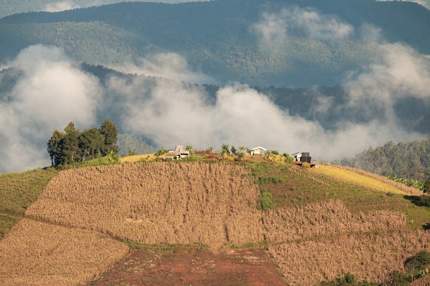 Schöne Landschaft auf hohen Bergen, Reistälern und landwirtschaftlichen Grundstücken