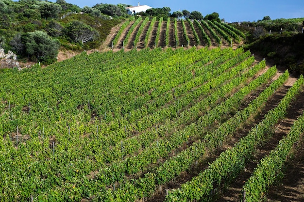 Schöne Landschaft auf Sardinien, Italien