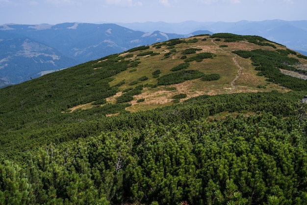 Schöne Landschaft Berge Karpaten in der Ukraine