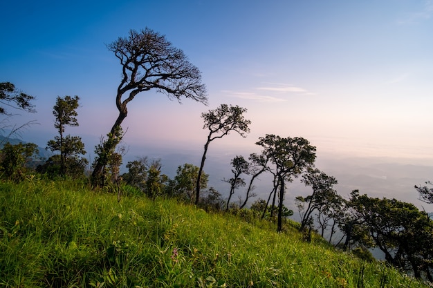 Schöne Landschaft der Bergkette bei Sonnenaufgang im Doi Luang Nationalpark, Thailand.