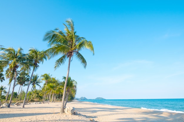 Schöne Landschaft der Kokospalme am tropischen Strand