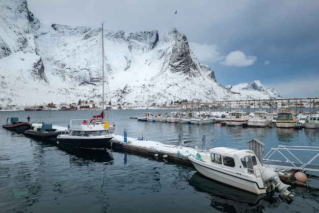 Foto schöne landschaft der lofoten im winter