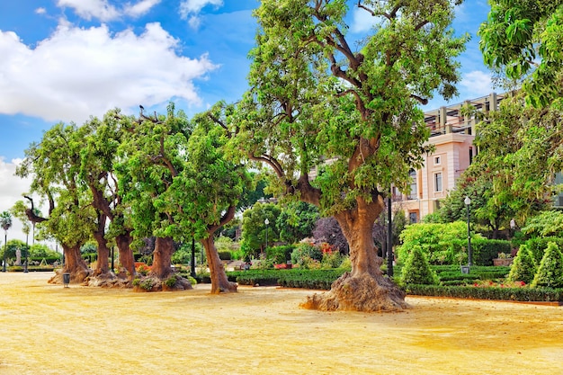 Schöne Landschaft der städtischen Ansicht Barcelona-Katalonien-Spanien