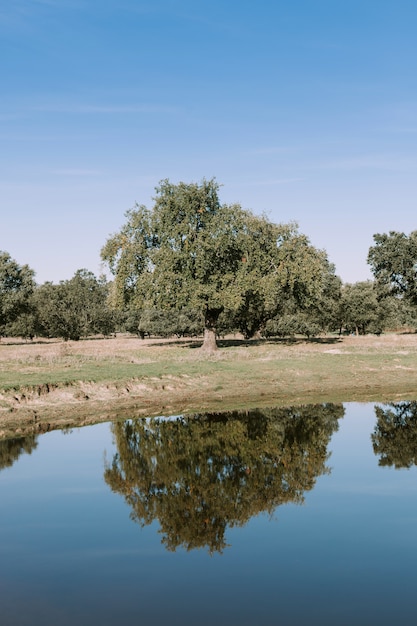 Schöne Landschaft der Ufer eines Flusses