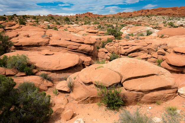 Schöne Landschaft der Wüste in Utah