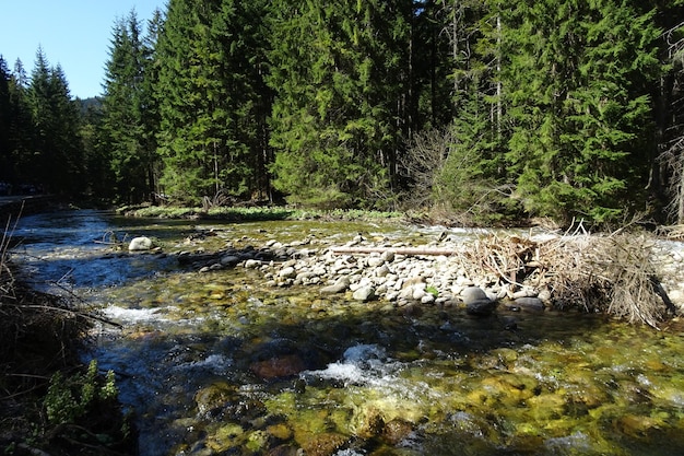 schöne Landschaft des Bergtals