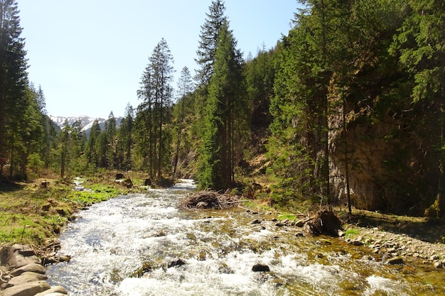 schöne Landschaft des Bergtals