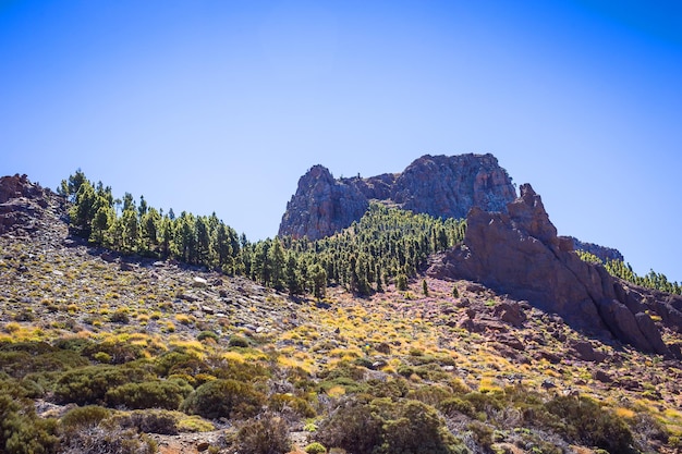 Schöne Landschaft des Nationalparks Teide Teneriffa Kanarische Insel Spanien