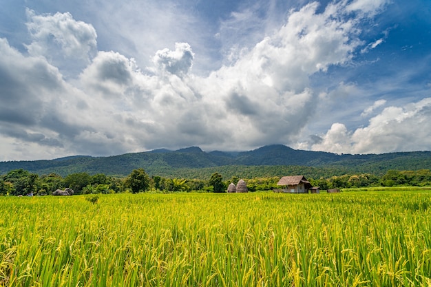 Schöne Landschaft des Reisfeldes mit Bergen und dramatischer Wolkenbildung an einem hellen sonnigen Tag in Nordthailand
