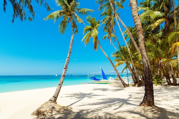 Schöne Landschaft des tropischen Strandes auf der Insel Boracay, Philippinen. Kokospalmen, Meer, Segelboot und weißer Sand. Naturansicht. Sommerferienkonzept.