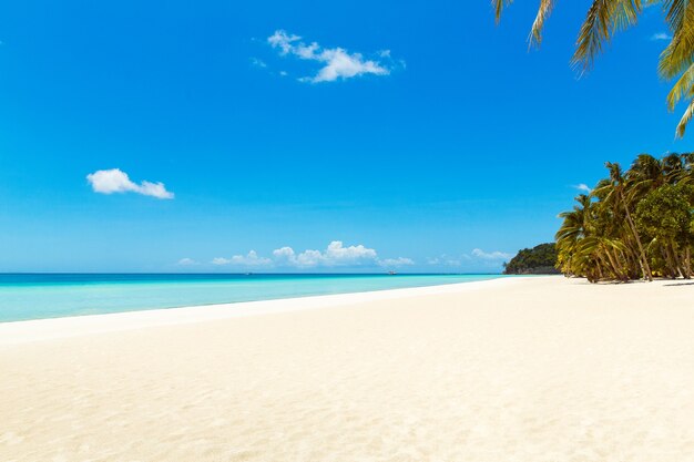 Schöne Landschaft des tropischen Strandes Kokospalmen Seesegelboot und weißer Sand