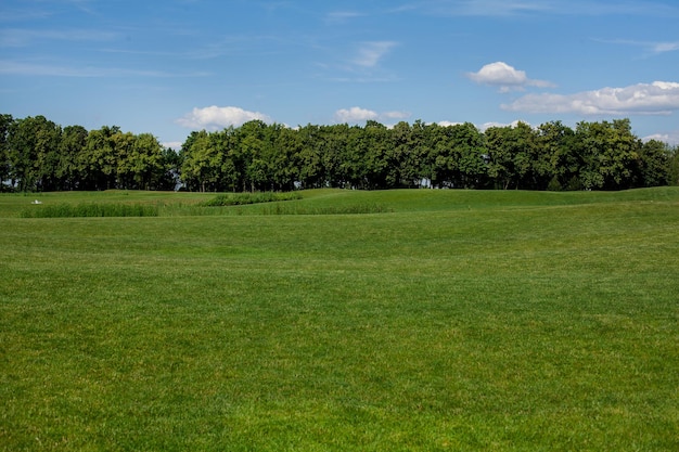 Schöne Landschaft eines grünen Golfplatzes und des blauen Himmels.