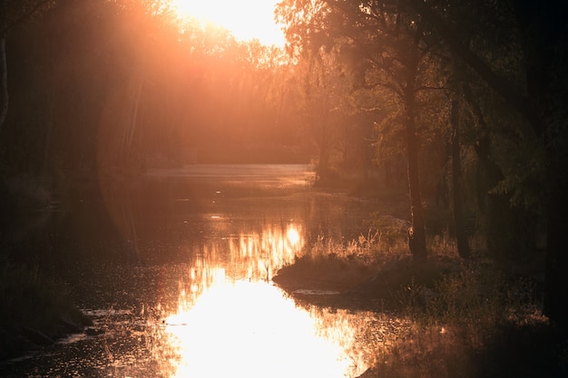 Schöne Landschaft - Fluss im Wald bei Sonnenuntergang