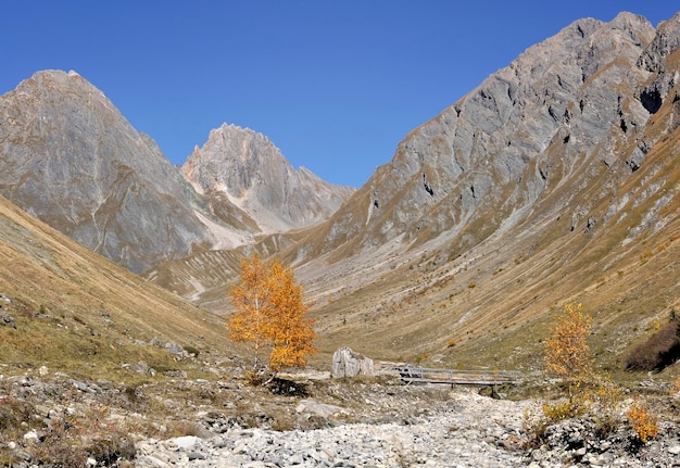 Schöne Landschaft im alpinen Tal mit felsigem Spitzenberg unter blauem Himmel im Herbst