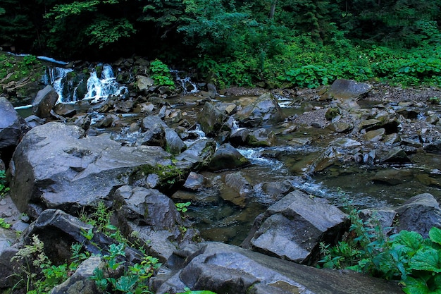 schöne Landschaft im Karpaten-Gebirgsfluss im Wald