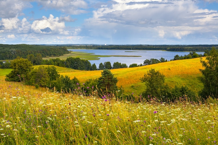 Foto schöne landschaft im nationalpark braslauer seen, weißrussland