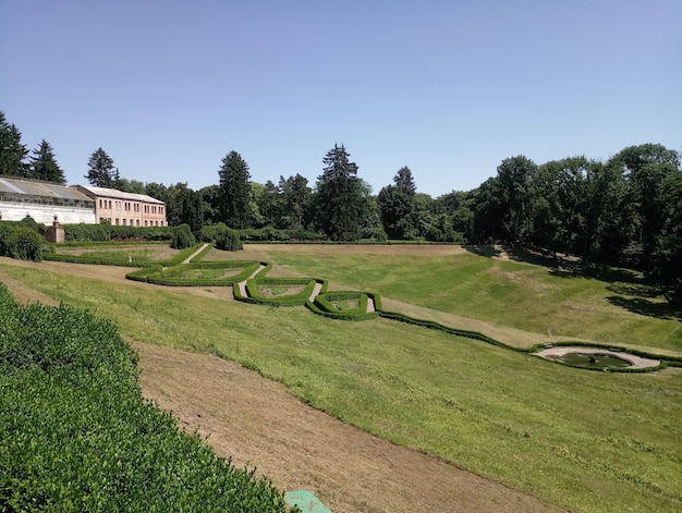 Schöne Landschaft im Sommerpark