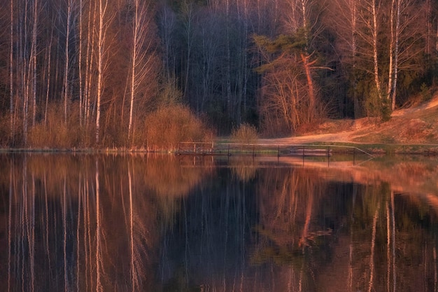 Schöne Landschaft in der goldenen Stunde spiegeln sich die Bäume des Waldes im ruhigen Wasser des Sees