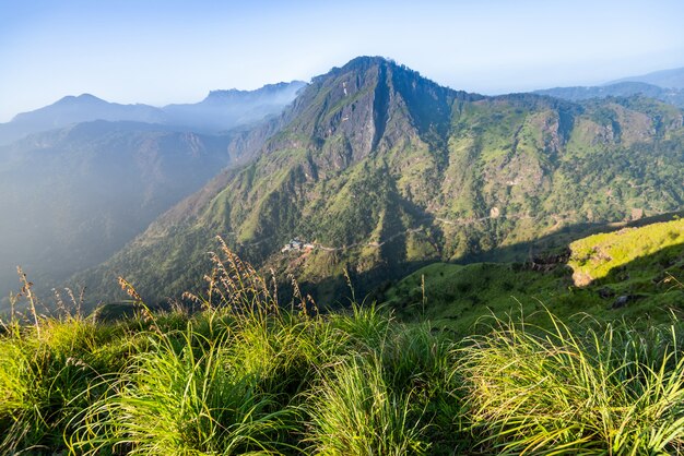 Schöne Landschaft in Ella, Sri Lanka