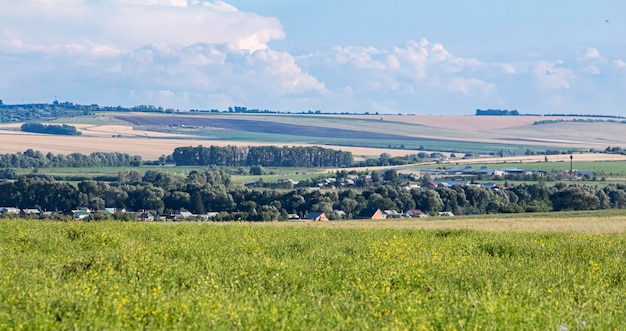 Schöne Landschaft mit einem modernen Dorf auf dem Hintergrund einer grünen Wiese