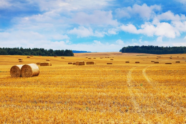 Schöne Landschaft mit Heustrohballen nach der Ernte im Sommer