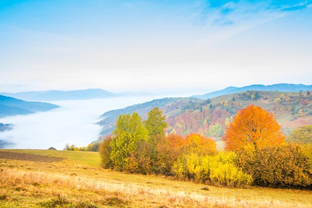 Schöne Landschaft mit Hügeln und Bergen