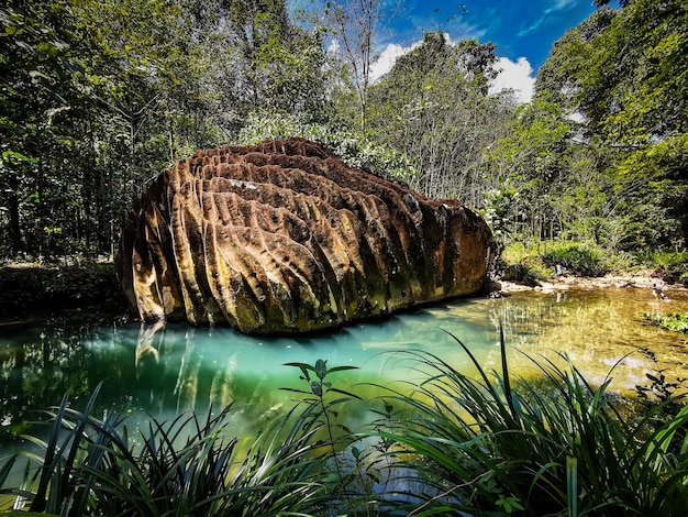 Schöne Landschaft mit klarem Wasser und großen Felsen. Selektiver Fokus.