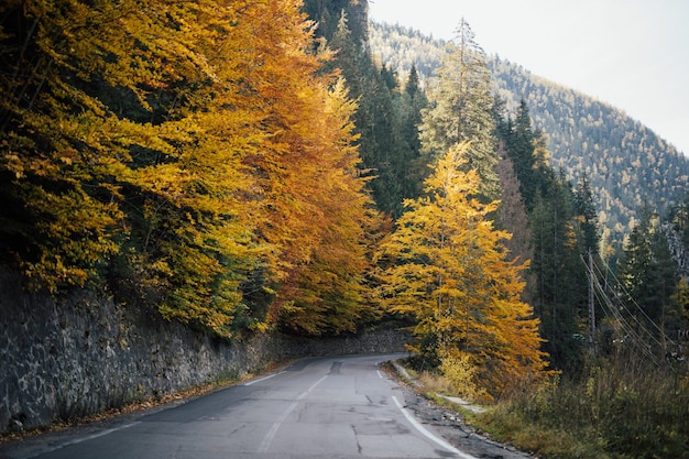 Schöne Landschaft mit leerer Straße, goldener Herbst in den Bergbäumen mit grünen, gelben und orange Blättern.