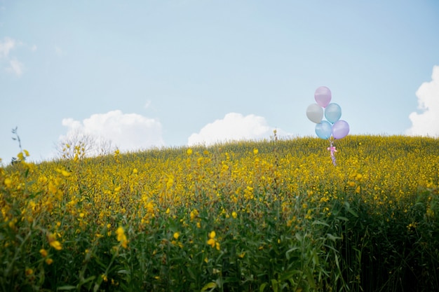 schöne Landschaft mit Luftballons