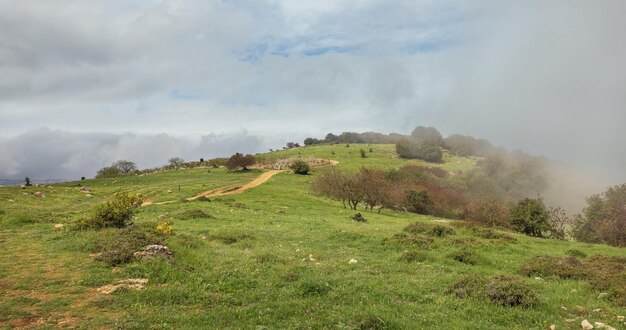 Schöne Landschaft mit Nebel und einer Straße, die sich in die Ferne zurückzieht