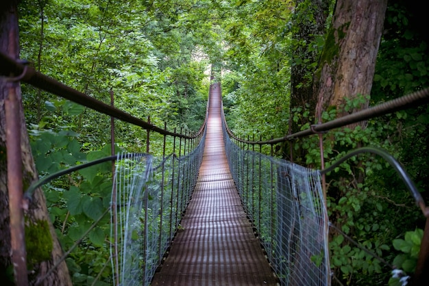 Schöne Landschaft mit schmaler Brücke aus Metall, die durch den hellen Herbstwald geht
