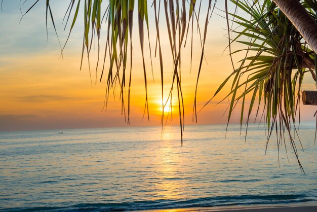Schöne Landschaft mit Sonnenuntergang am tropischen Strand mit Palmen